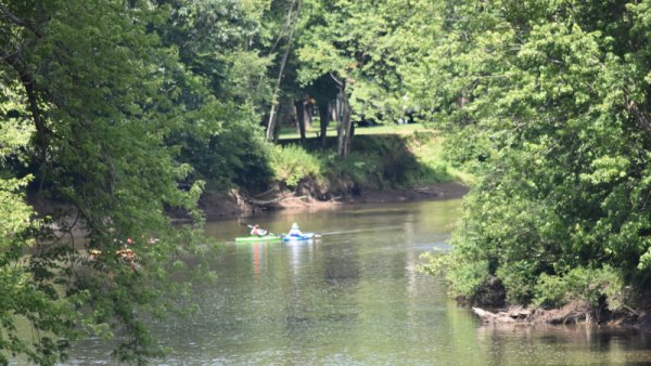 Kayakers on the Allegheny River in Portville, NY