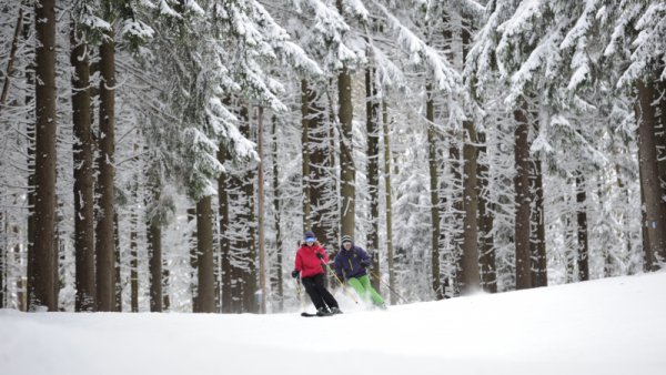 Skiers going by snow-covered pines at Holiday Valley Resort